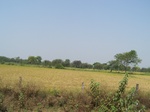 1682601052008(56).JPG