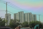 2024-08-05_16-15-35_9BE49904-7306-432F-99DC-2B7C169EC0B4.jpeg
