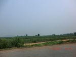 32975CIMG2124.JPG