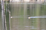 400IMG_3509.JPG
