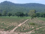 34594RIMG0060.JPG