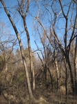8621IMG_1246.JPG