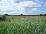 32313p54_s.jpg
