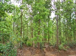 17464100_2153.JPG