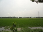 21714DSC00254.JPG
