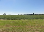 24693DSC01117.JPG