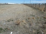 29222HOOK20110406N.JPG