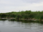 38571CIMG0100.JPG