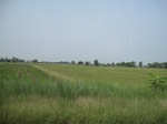 28325IMG_5158.JPG
