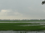 21935DSC00186.JPG