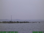 1580R0015239_tag.jpg