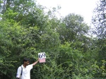 1183969-forest-remnant-degraded-a.jpg