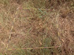 2012-08-28_20-34-48_P1010133.jpg