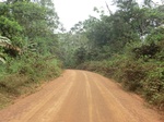 47384CIMG3721.JPG