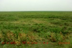 39053CIMG4634.gps.jpg