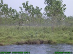 1308R0015103_tag.jpg