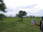 1186328-cropland-rainfed-1yr-fallowb.jpg