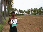 6395088b-rainfed-agriculture-sorgum-coconut-patch.jpg