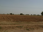 19089P1000934.JPG