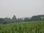 33205CIMG2447.JPG