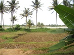 15906IMG_4454.JPG