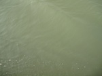 8429IMG_0254.JPG
