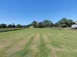 24696DSC01120.JPG