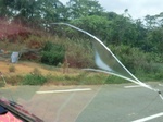49440CIMG5777.JPG