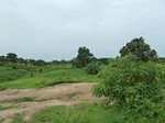 18748P1000586.JPG