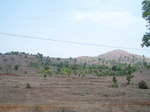 500520042008(22).JPG