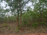3982RIMG0286.JPG