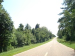 32516p173.jpg