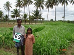 6398089c-irrigated-supplemental-groundwater-tubewell-mixedcrop-sugarcane-turmeric-maize-ladyfinger.jpg
