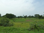 18764P1000602.JPG