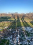 2023-03-27_08-55-29_2023-3-26-19-2-5.jpg