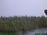 1390R0015144_tag.jpg