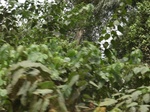 48698CIMG5035.JPG