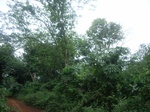 3708RIMG0011.JPG
