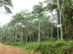 50999CIMG3943.JPG