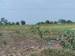 1768222042008(62).JPG