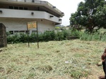 43717CIMG0499.JPG