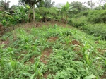 45787CIMG2872.JPG