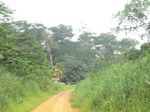 48913CIMG5250.JPG