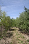 283IMG_4179.JPG