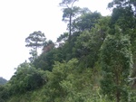 33604RIMG0269.JPG
