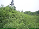 903R0015405_tag.jpg
