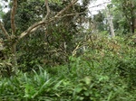 47870CIMG4207.JPG