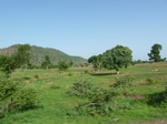 19335P1010181.JPG