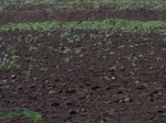 1772923042008(19).JPG