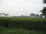 16076IMG_4816.JPG